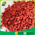 Goji fruit extraction dried fruit goji Berry